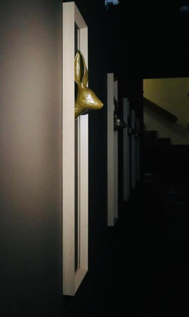 Casa Coelho Guesthouse Κοΐμπρα Εξωτερικό φωτογραφία